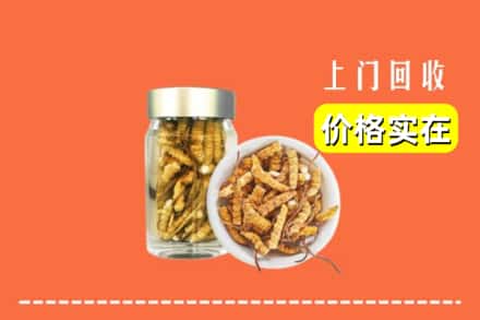 收购资讯:哈尔滨依兰县回收散虫草