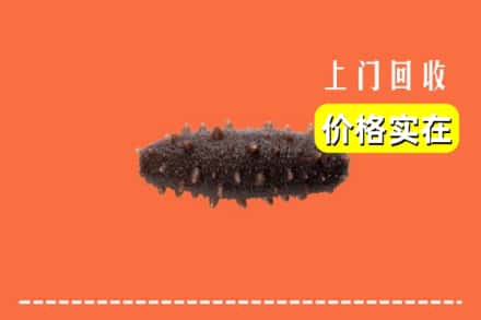 收购资讯:哈尔滨依兰县回收海参